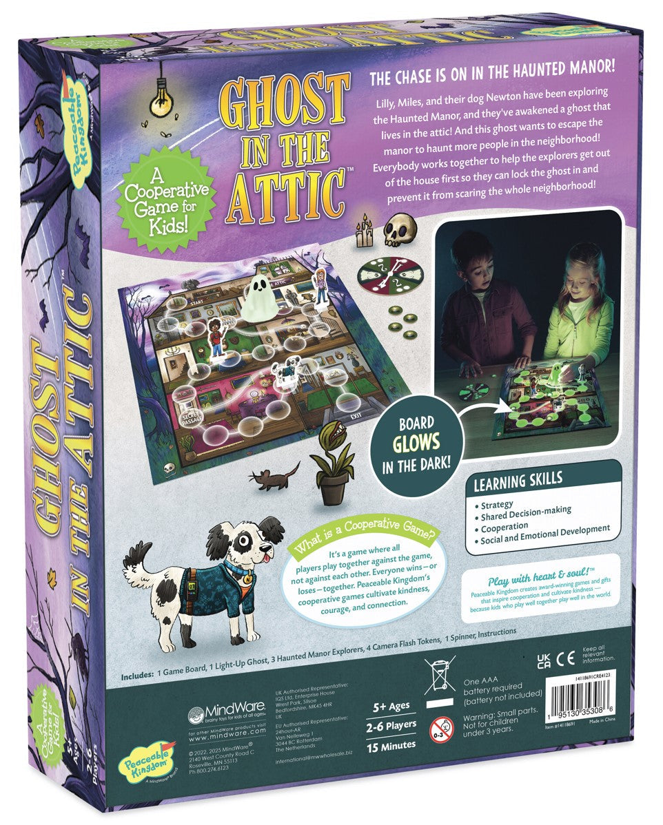 Ghost in the Attic