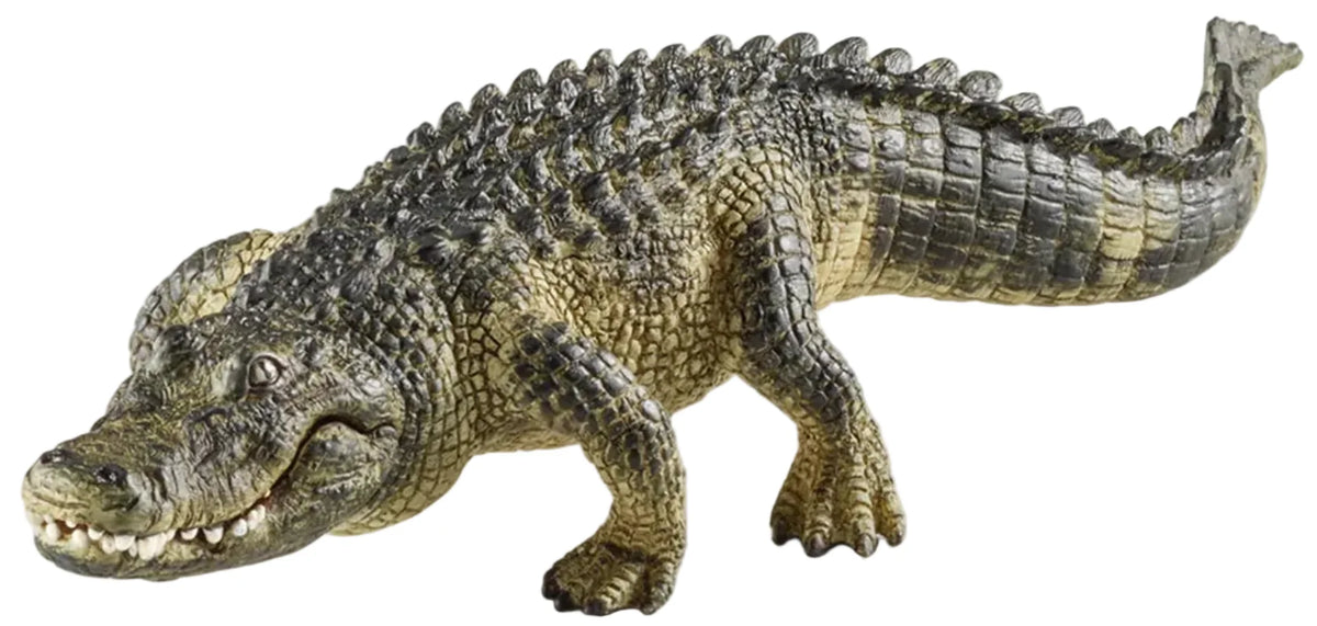 Schleich - Alligator
