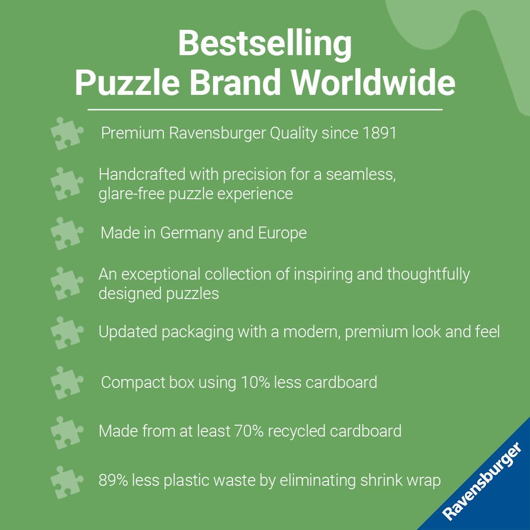 Rburg - The Bizarre Bookshop No 2 Puzzle 1000p