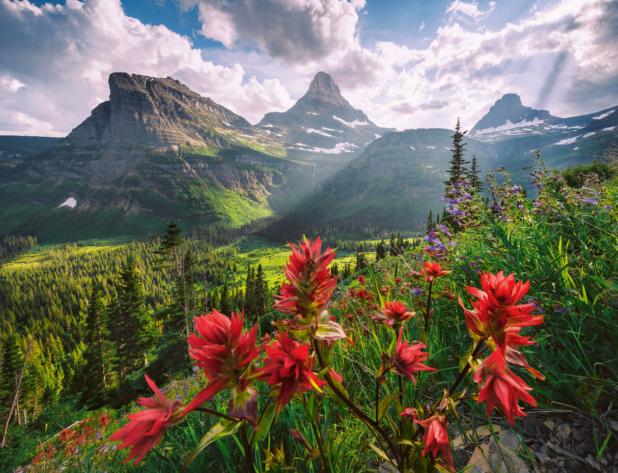 Ravensburger: Pristine Mountains Puzzle - 2000 Piece