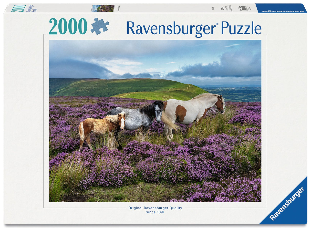 Ravensburger: Wild Horses in the Heather Puzzle - 2000 Piece