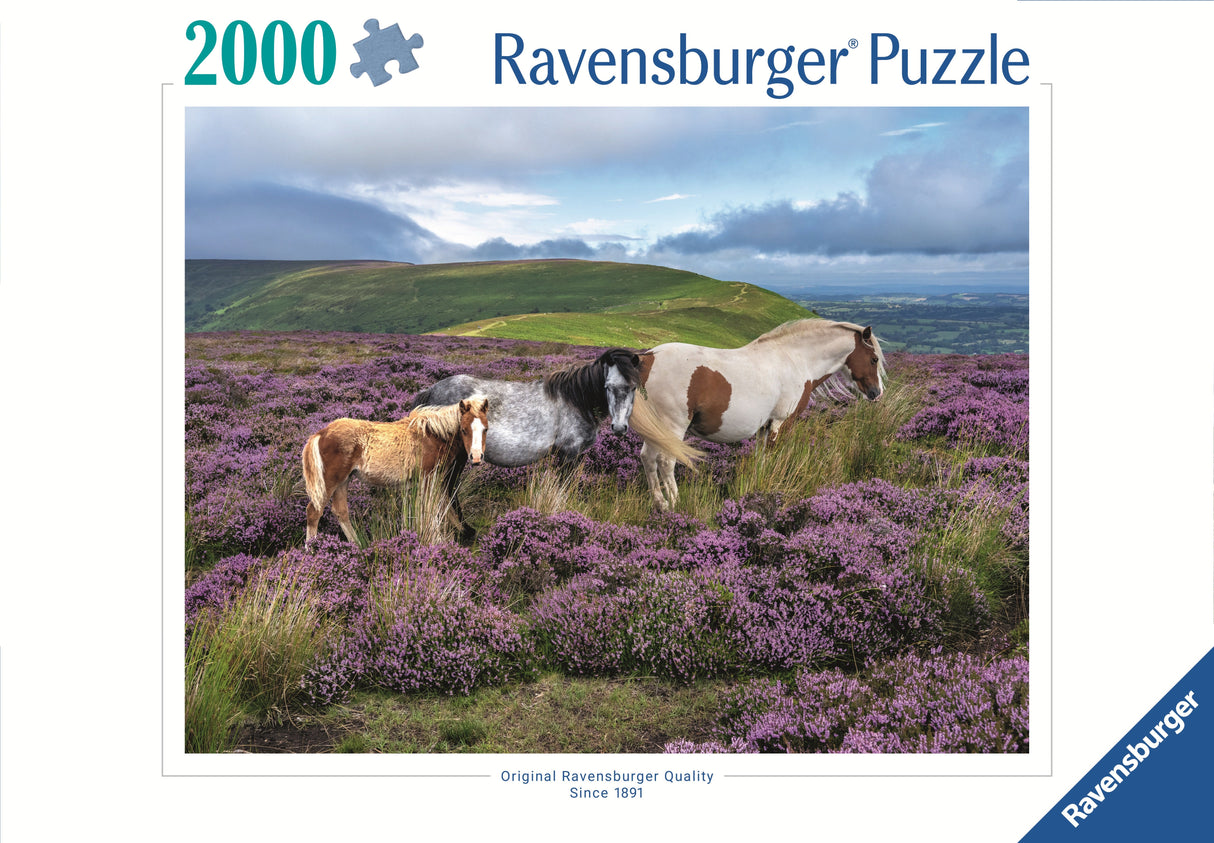 Ravensburger: Wild Horses in the Heather Puzzle - 2000 Piece