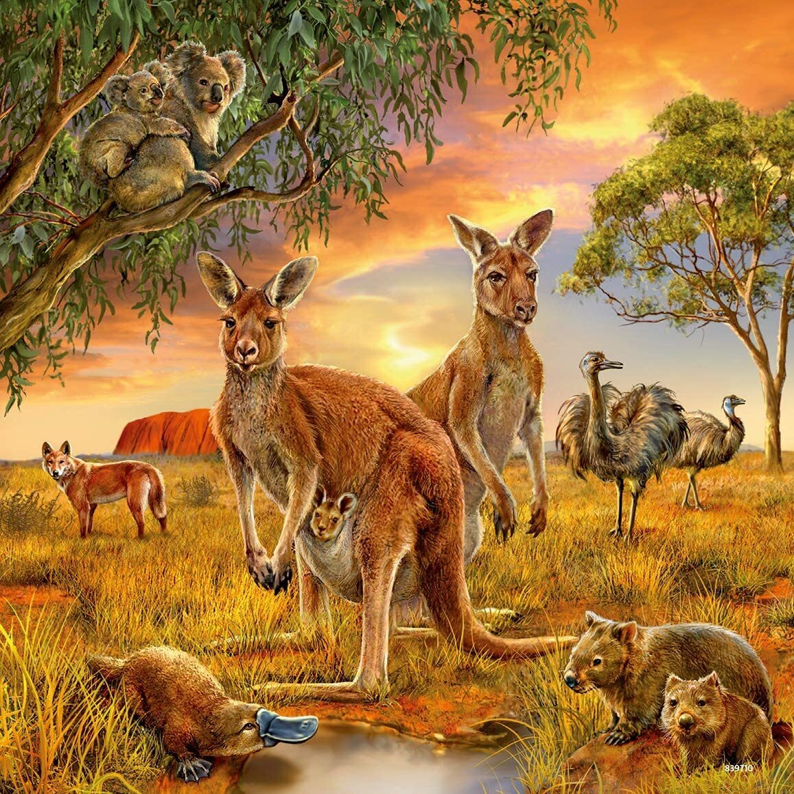 Ravensburger: Animals of the Earth Puzzle 3x49 Pieces