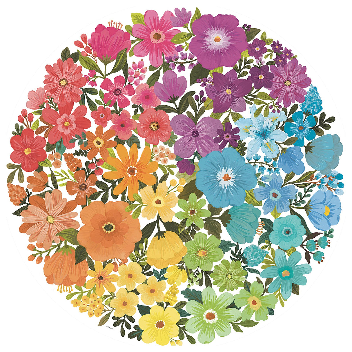 Rburg - Flowers CAN500