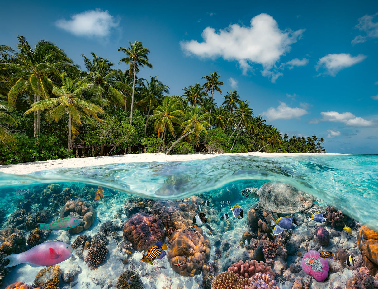 Ravensburger: A Dive in the Maldives Puzzle - 2000 Piece