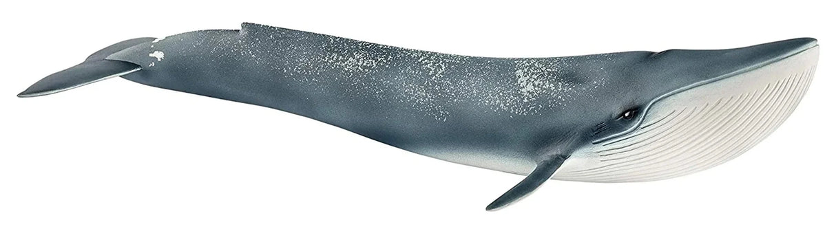Schleich - Blue Whale