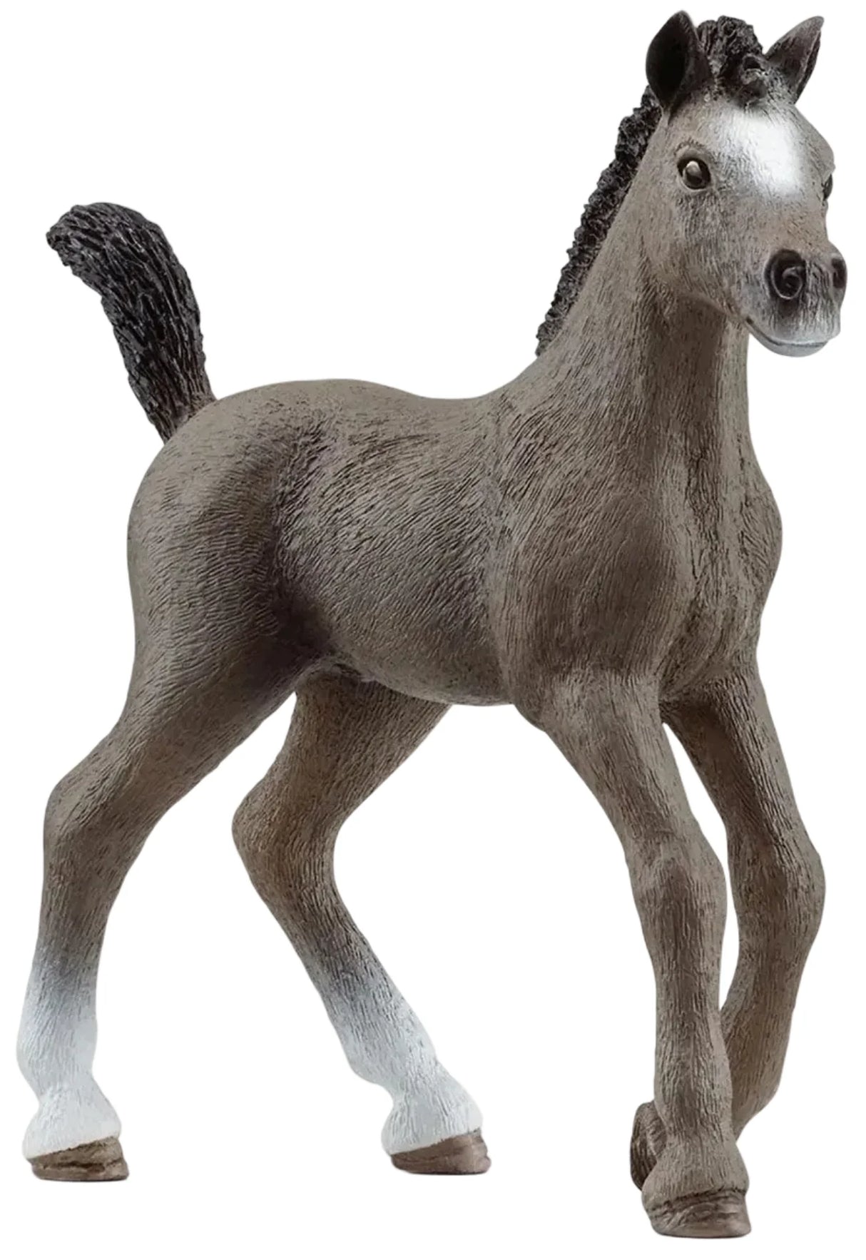Schleich - Selle Francais Foal