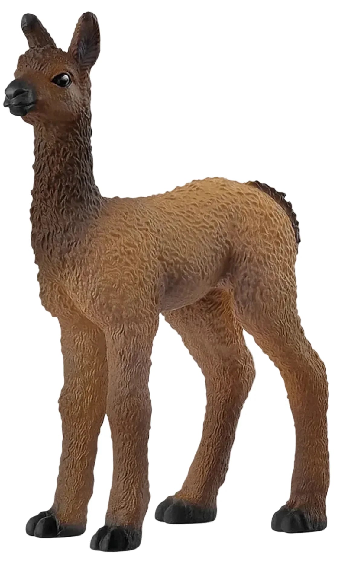 Schleich - Llama Foal