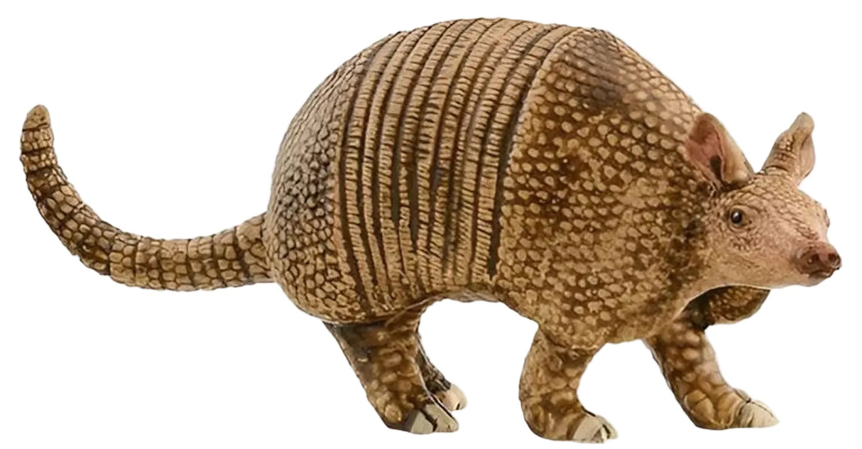 Schleich - Armadillo