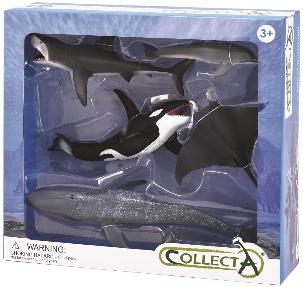 CollectA: 5pcs Sea Life Boxed Set