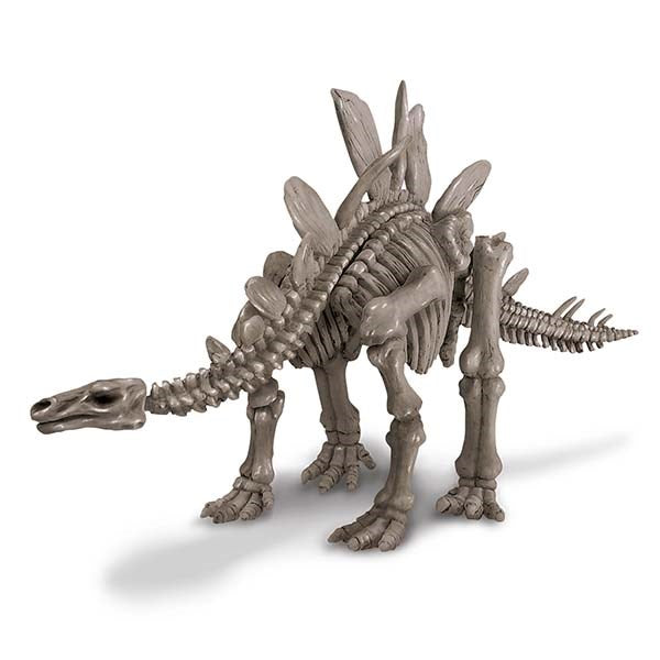 4M: Dig A Stegosaurus Skeleton