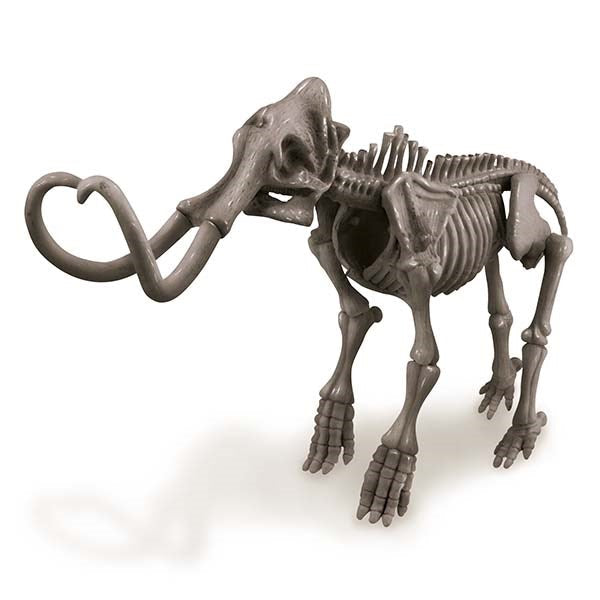 4M: Dig A Mammoth Skeleton
