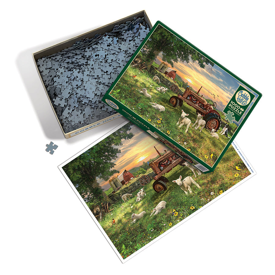Cobble Hill Field at Sunrise - 1000 Piece