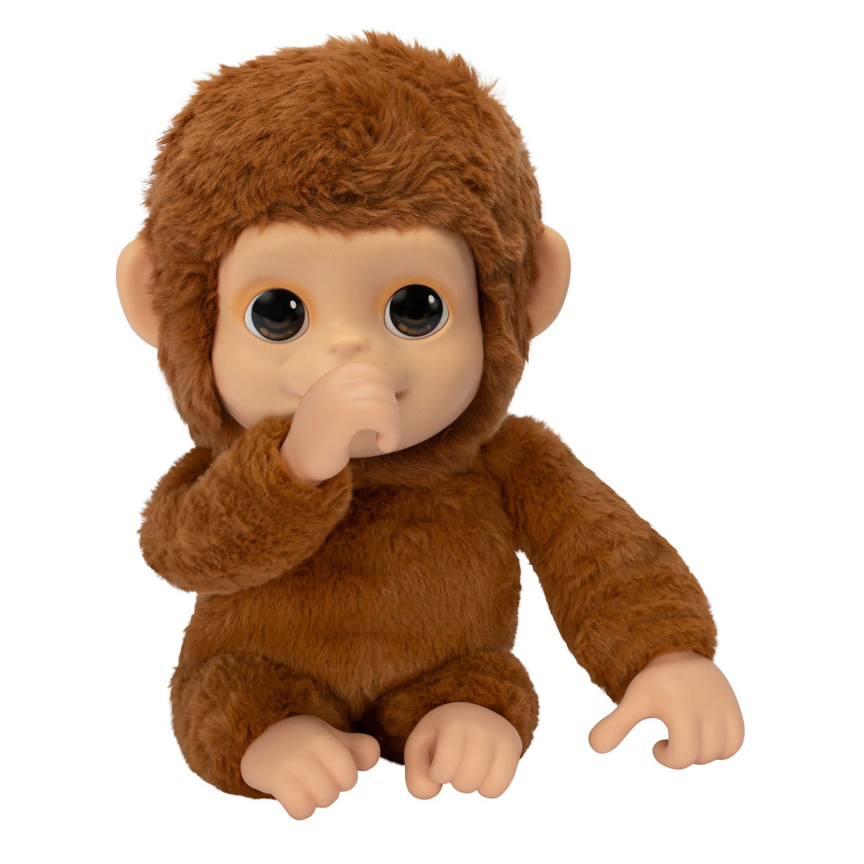 Little Live Pets: My Baby Monkey 'Mango'