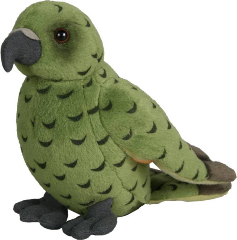Kea Sound Bird