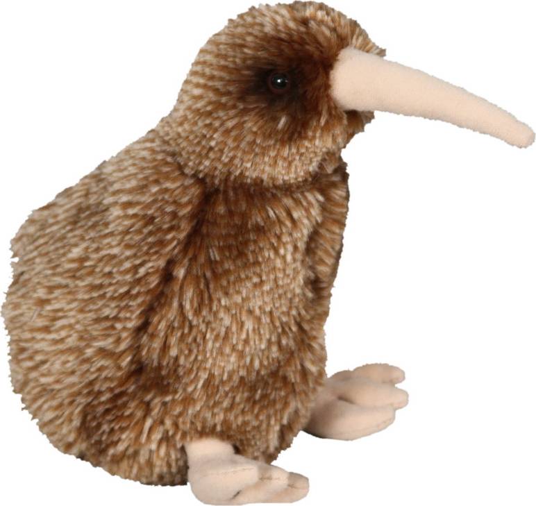 Brown Kiwi Sound