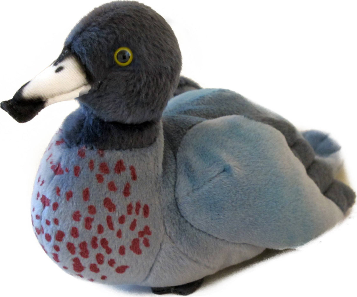 Blue Duck Whio Sound