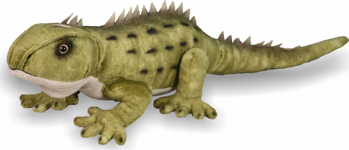 Tuatara Sound 50cm