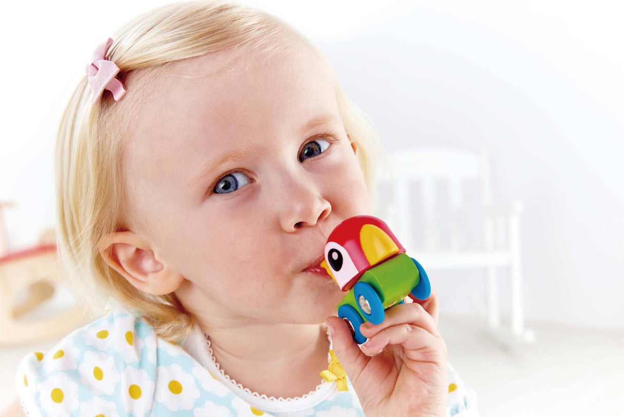 Hape: Whistling Parrot Engine