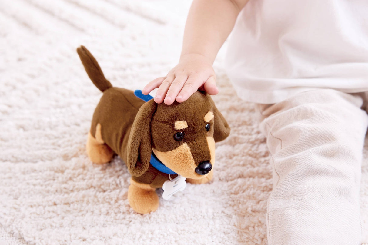 Hape: Puppy Care Clinic Vet Set