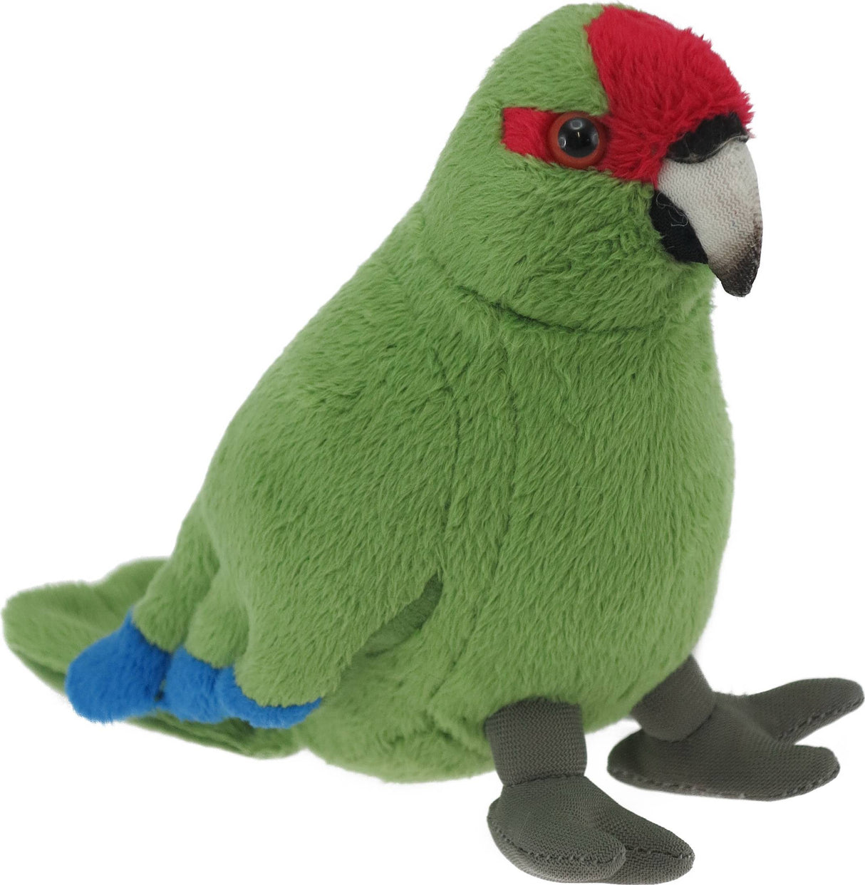 Kakariki Red Sound Bird