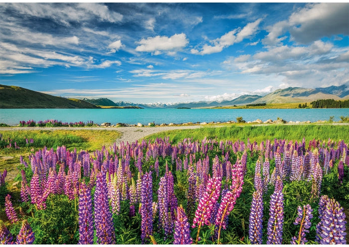 Clementoni: Lupins At Lake Tekapo - 1500pc Puzzle