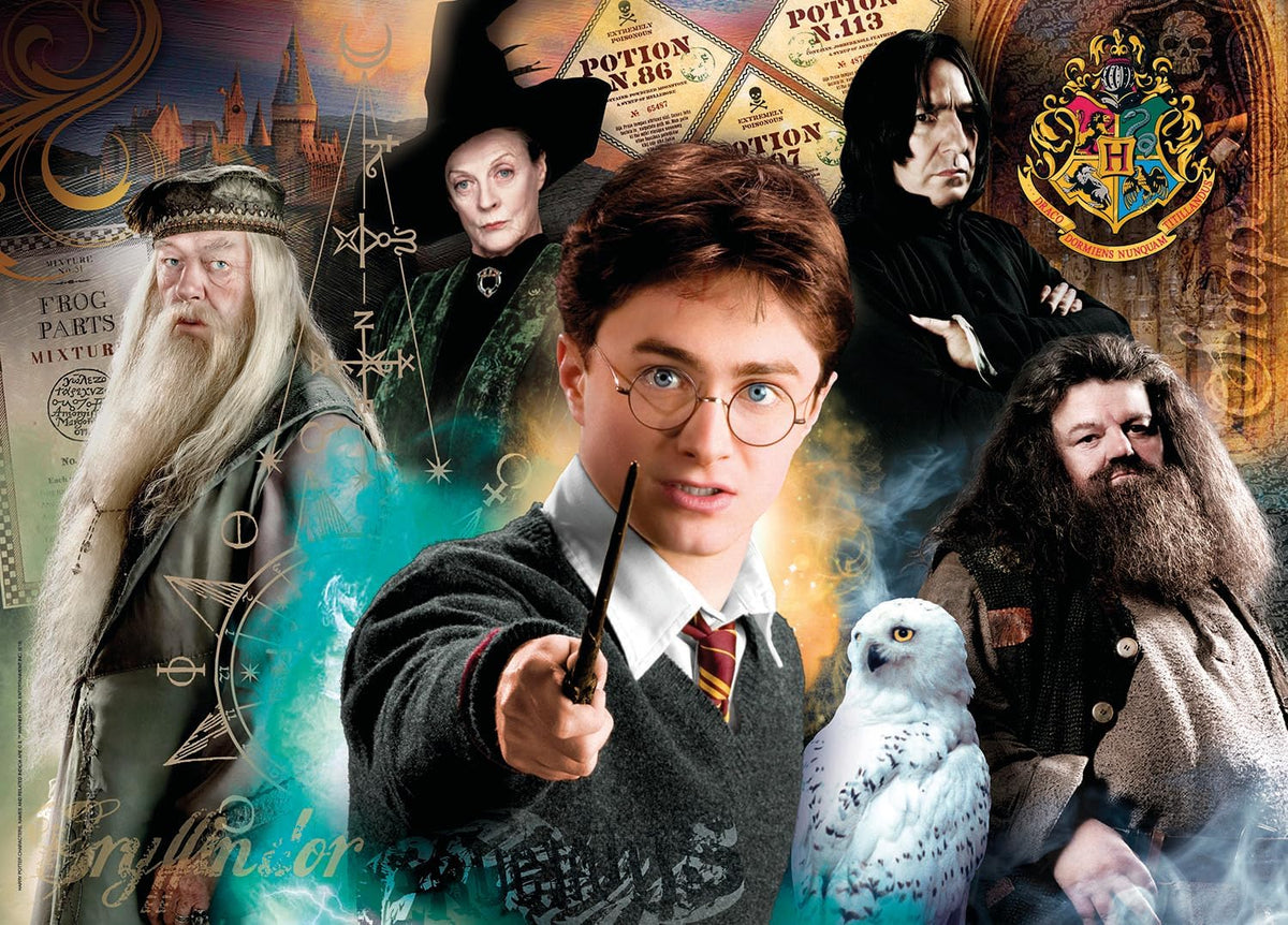 Clementoni Harry Potter & Dumbledore Jigsaw Puzzle - 500 Piece - (35083)