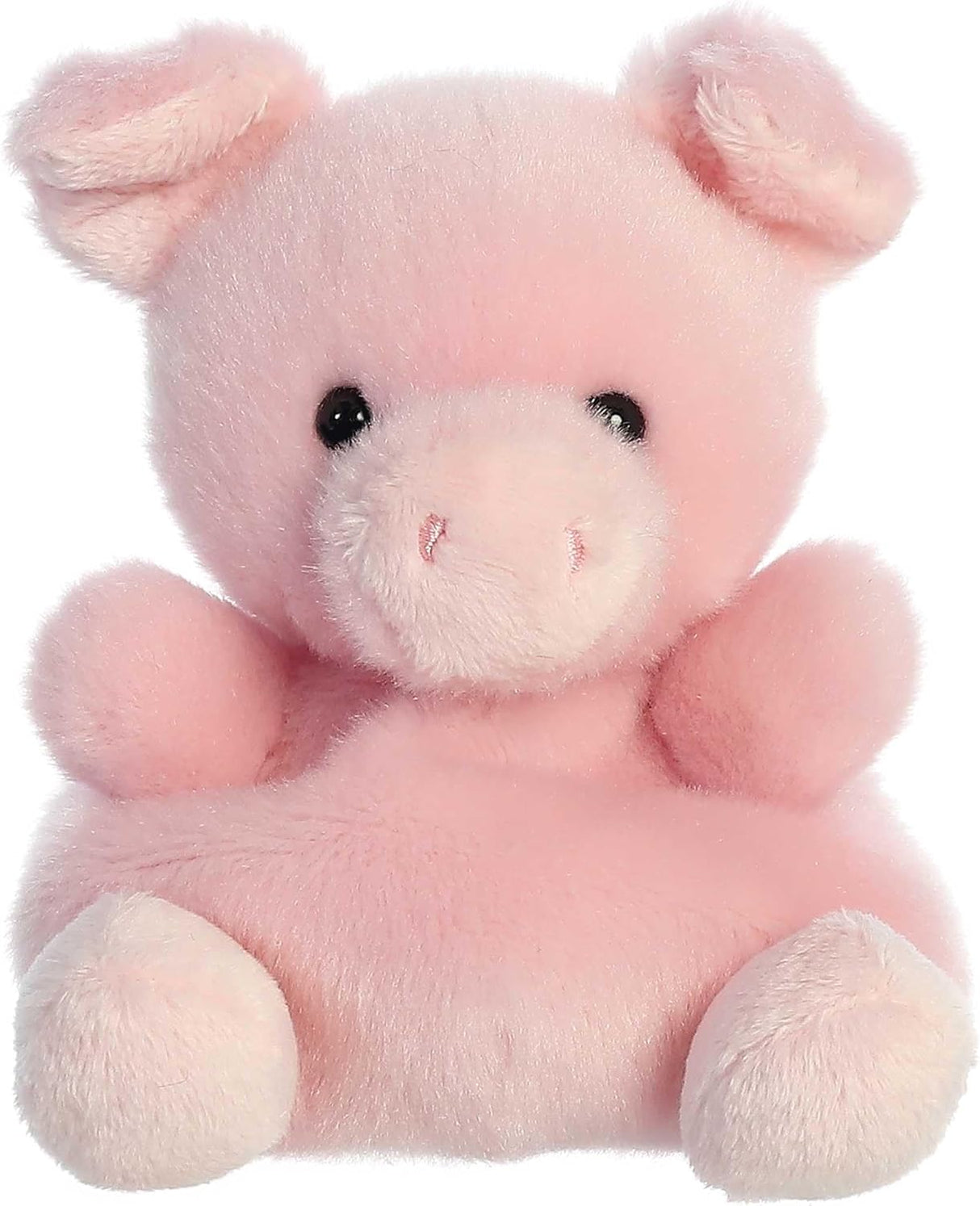 Palm Pals Plush - Wizard Pig 12cm