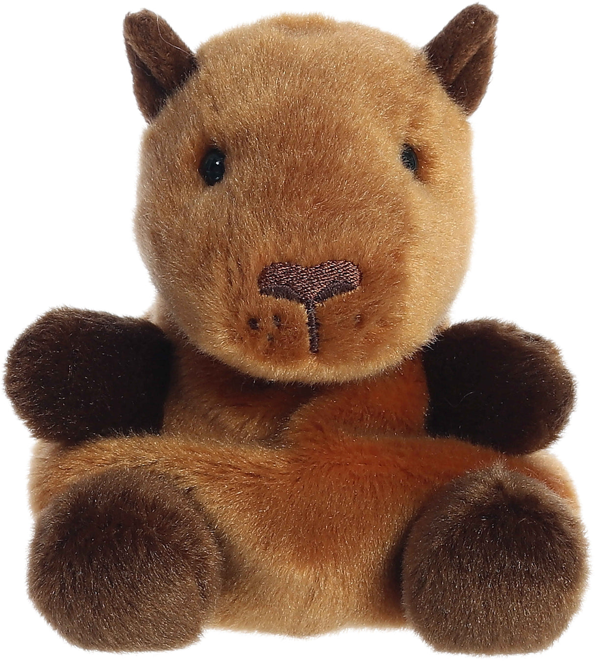 Palm Pals Plush - Sid Capybara