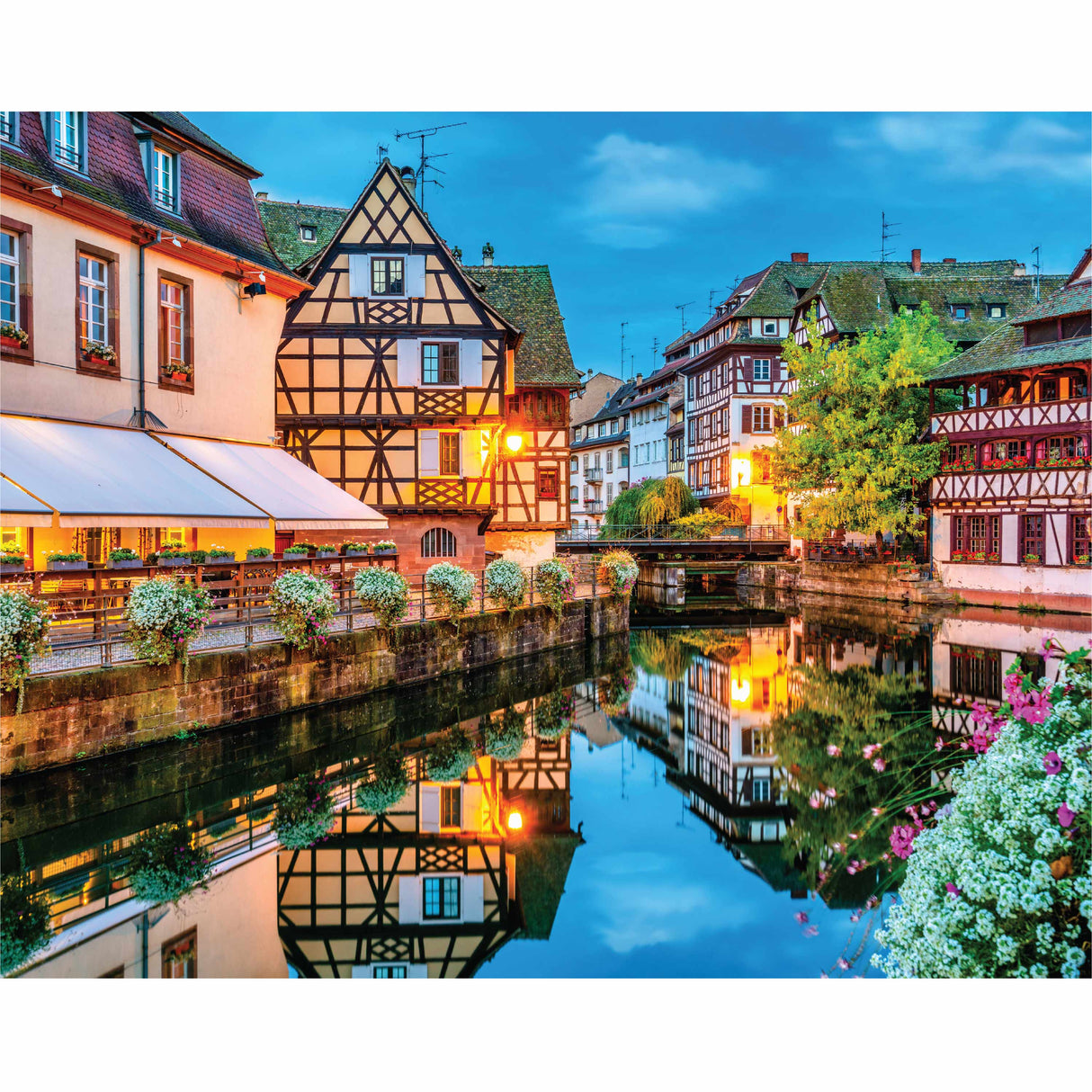 Mindbogglers 1000pc Puzzle - Alsace France