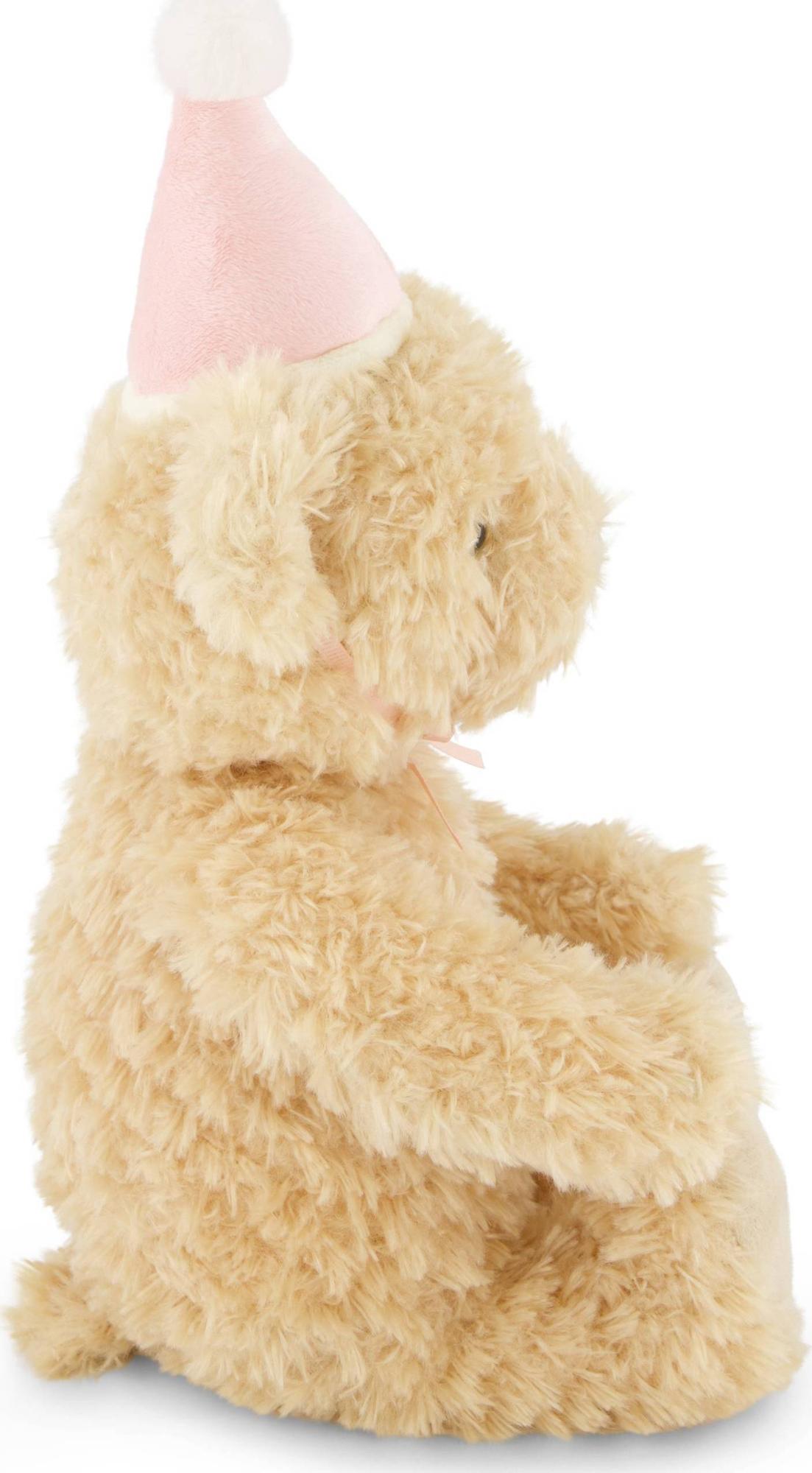 Snuggle Bunnies - Birthday Arthur - Fairy OS