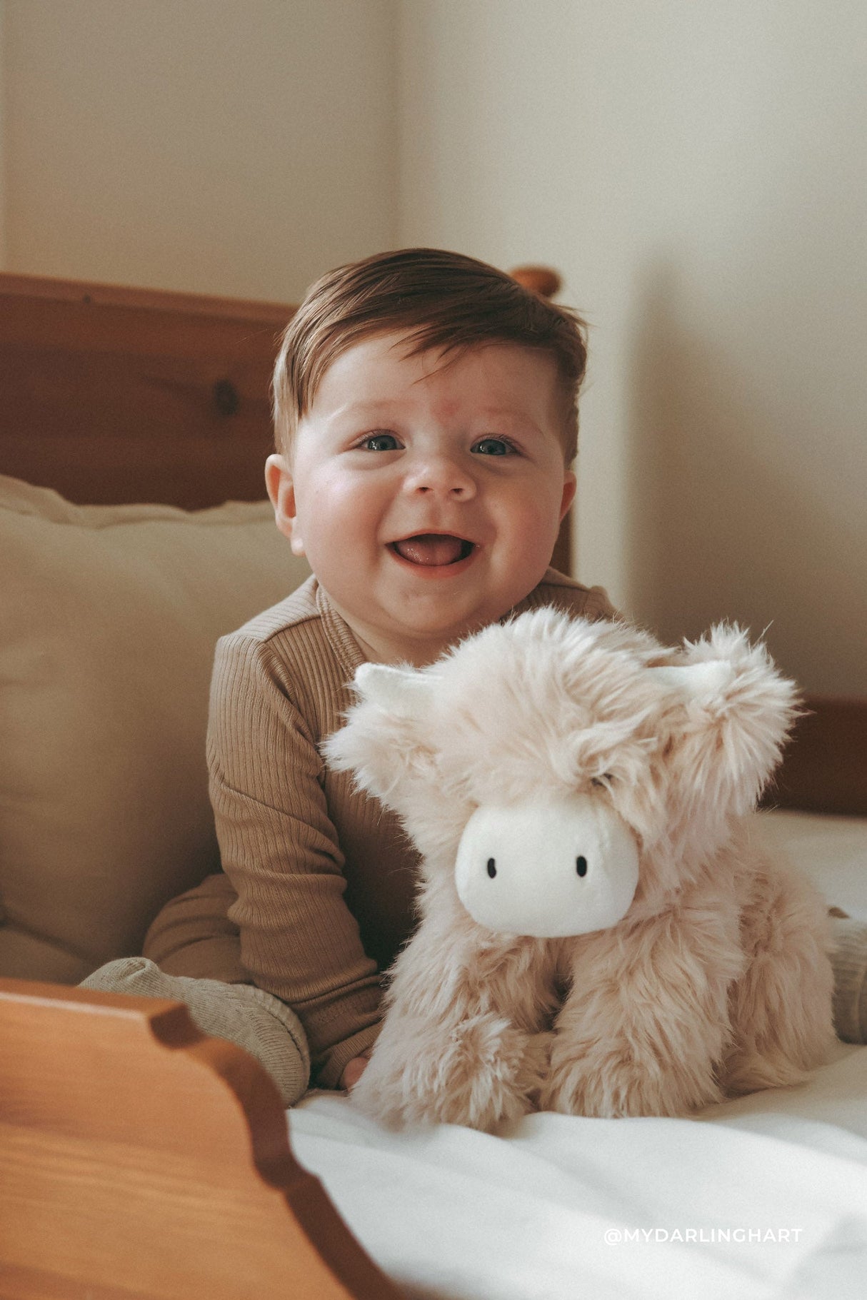 Snuggle Bunnies - Hilda The Highland Cow OS