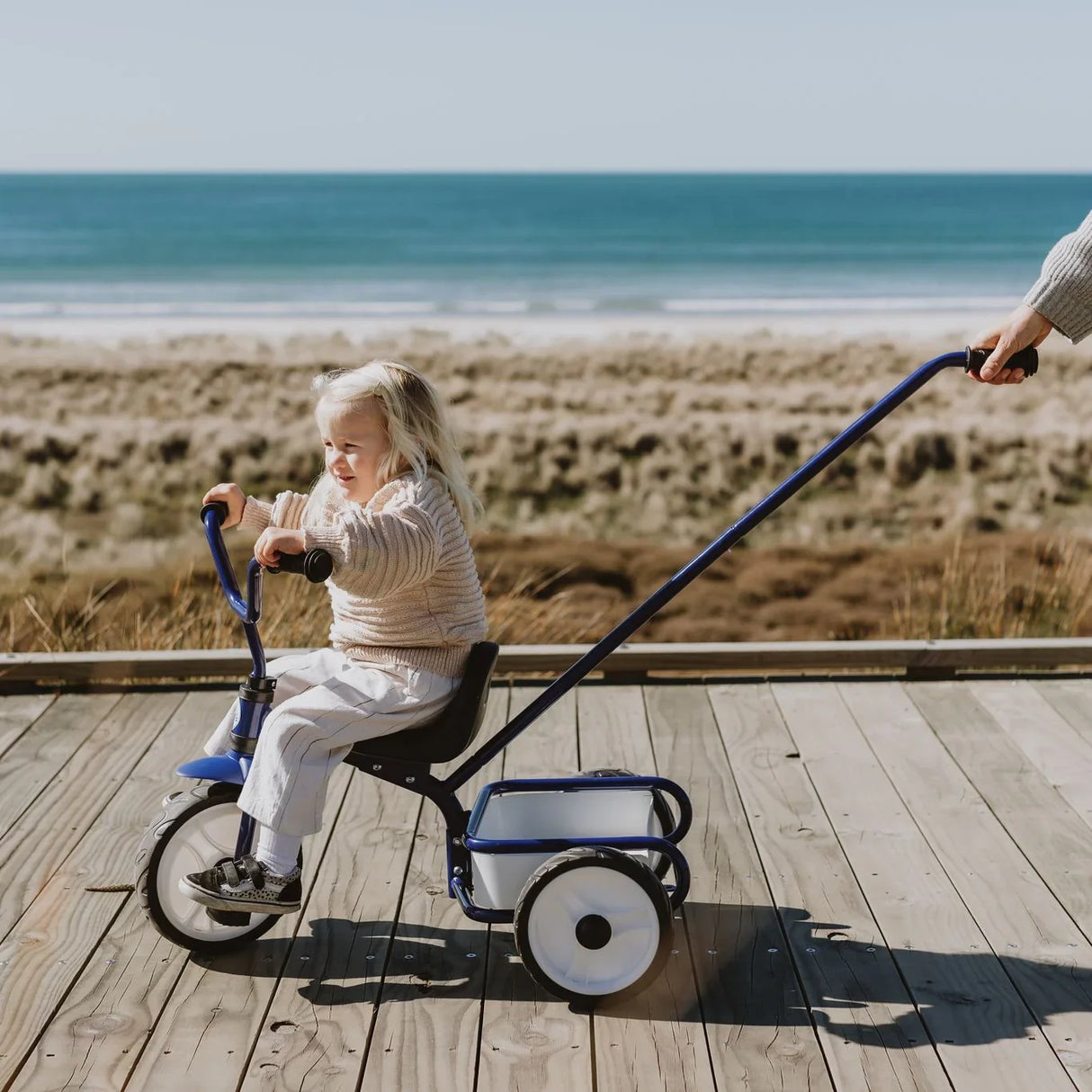 Tri-ang: Tuff Trike With Push Bar - Blue