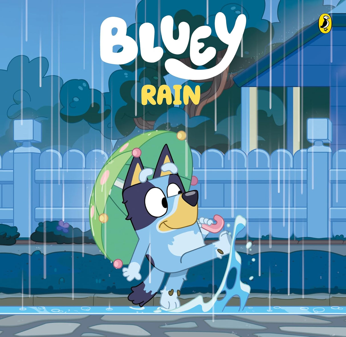 Bluey: Rain