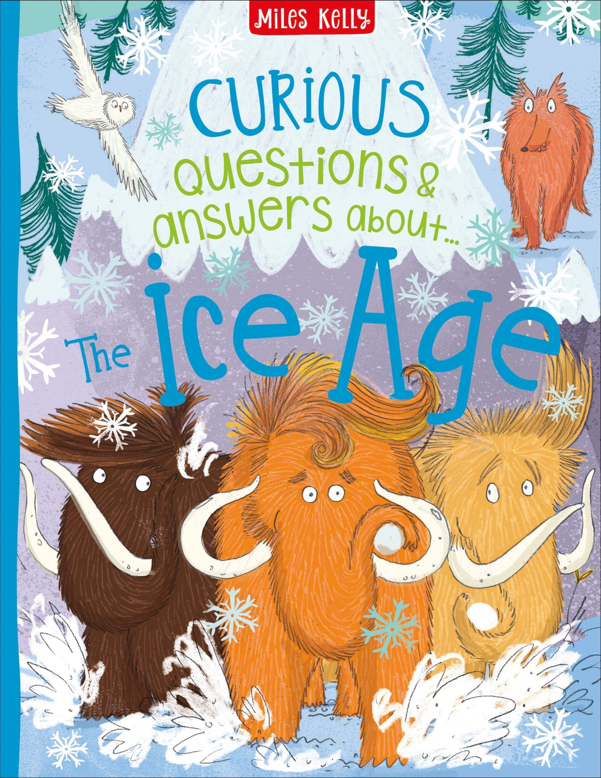 Curious Questions & Answers About The Ice Age