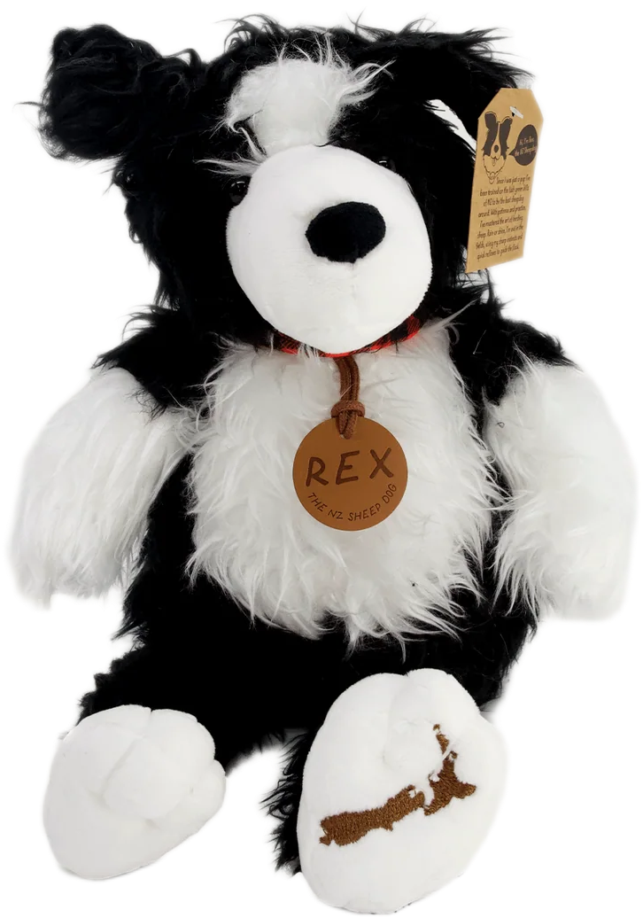 Moana Road: Rex the NZ Sheepdog