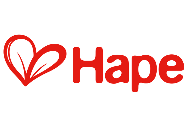 Hape Arts & Crafts
