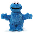 Sesame Street - Cookie Monster Soft Toy 25cm