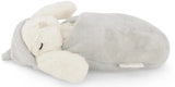 Snuggle Bunnies - Sleeping Penelope - Willow 20cm