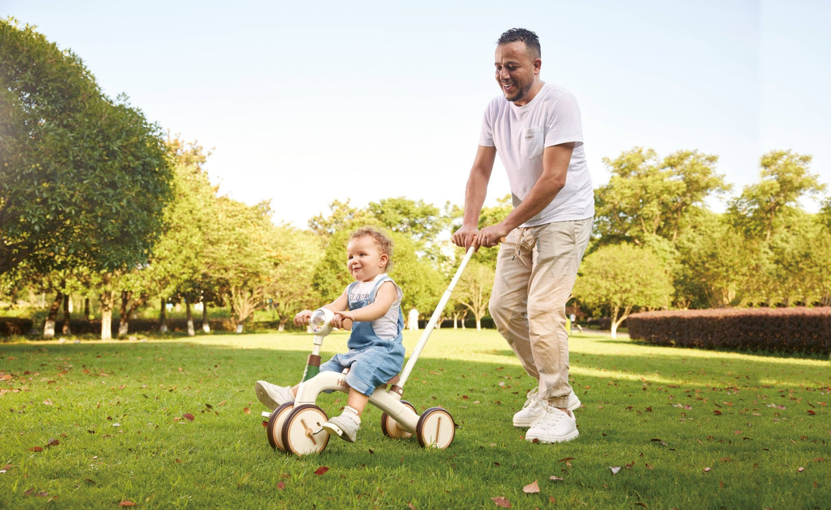 Hape: Step by Step Trike
