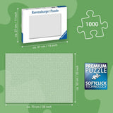 Rburg - The Bizarre Bookshop No 2 Puzzle 1000p