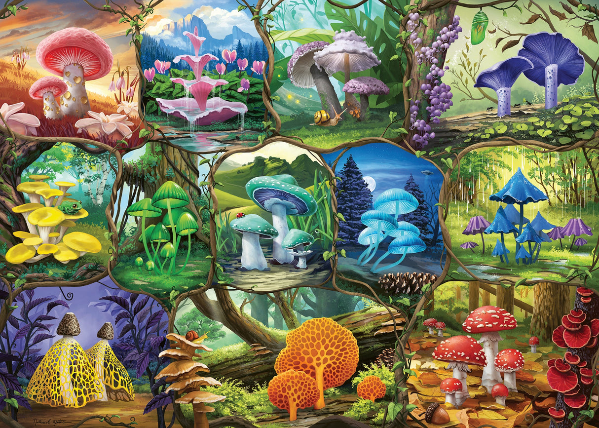 Ravensburger: Beautiful Mushrooms Puzzle - 1000 Piece