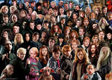 Ravensburger - Harry Potter Challenge Puzzle - 1000 Piece
