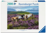 Ravensburger: Wild Horses in the Heather Puzzle - 2000 Piece