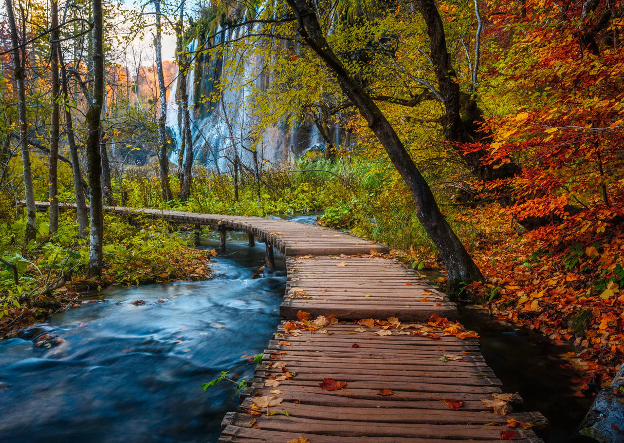 Ravensburger: Autumnal Forest path Puzzle - 1000 Piece