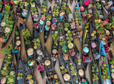 Ravensburger: Floating Market, Indonesia Puzzle - 500 Piece