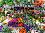 Ravensburger: Flower Market, France Puzzle - 500 Piece