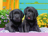 Ravensburger: Puppy Life Puzzle 300 Pieces
