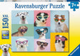 Ravensburger: Funny Dogs Puzzle 150 Pieces