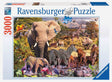 Ravensburger: African Animal World Puzzle - 3000 Piece